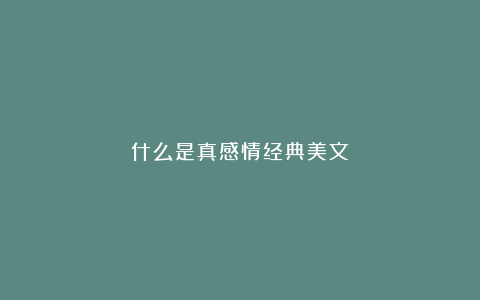 什么是真感情经典美文