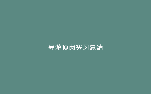 导游顶岗实习总结