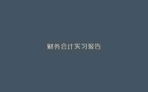 财务会计实习报告