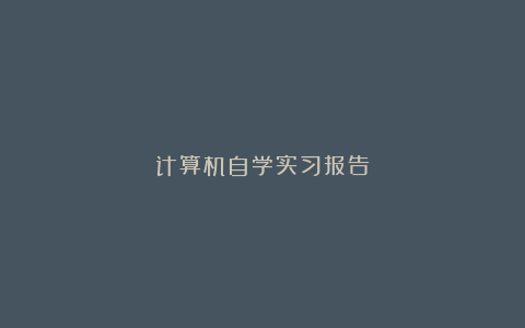 计算机自学实习报告