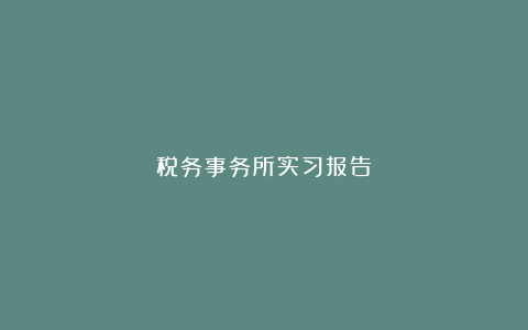 税务事务所实习报告