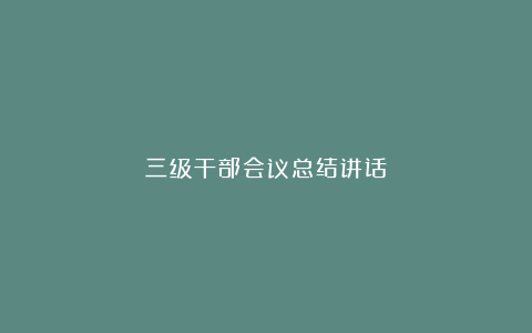 三级干部会议总结讲话