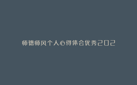 师德师风个人心得体会优秀202