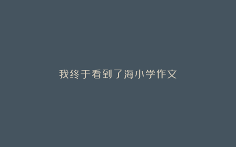 我终于看到了海小学作文