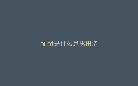 hunt是什么意思用法