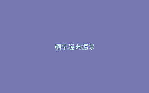 桐华经典语录