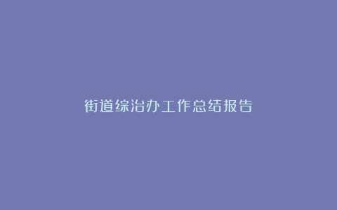 街道综治办工作总结报告