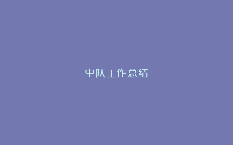 中队工作总结