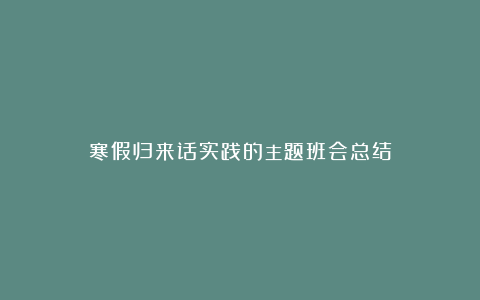 寒假归来话实践的主题班会总结