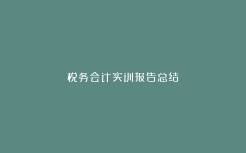 税务会计实训报告总结