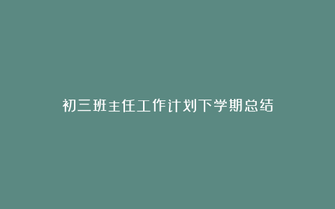 初三班主任工作计划下学期总结