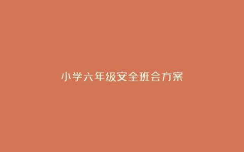 小学六年级安全班会方案