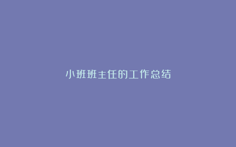 小班班主任的工作总结