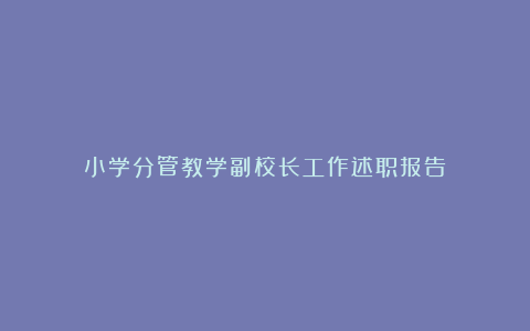 小学分管教学副校长工作述职报告