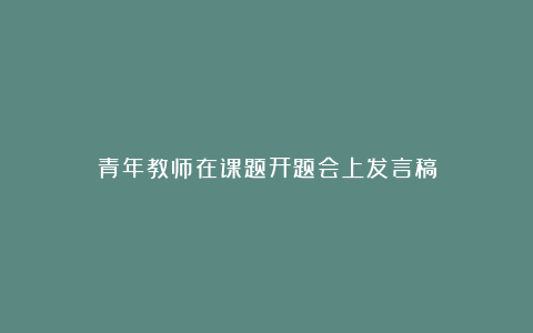 青年教师在课题开题会上发言稿