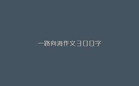 一路向海作文300字