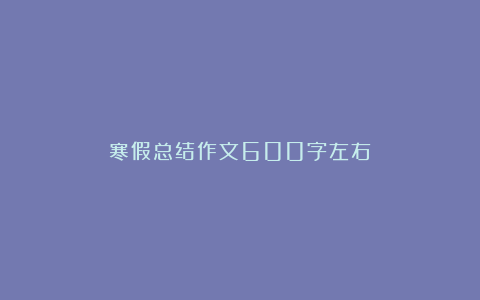 寒假总结作文600字左右