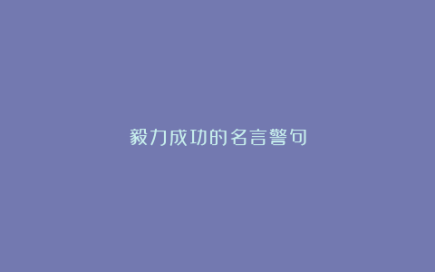 毅力成功的名言警句