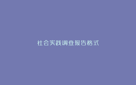 社会实践调查报告格式