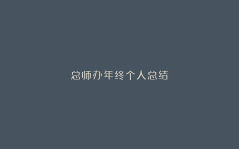 总师办年终个人总结