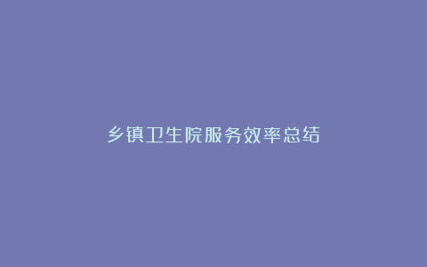 乡镇卫生院服务效率总结