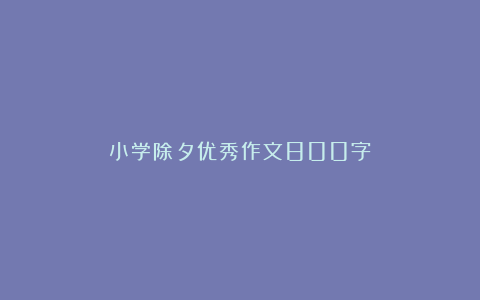 小学除夕优秀作文800字