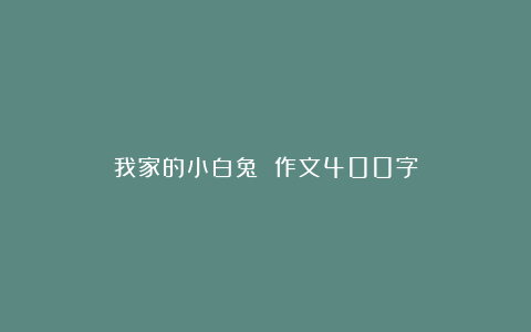 我家的小白兔 作文400字