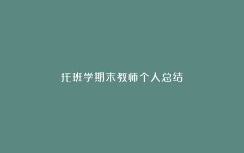 托班学期末教师个人总结