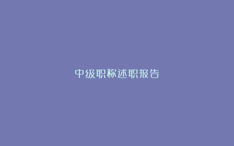 中级职称述职报告