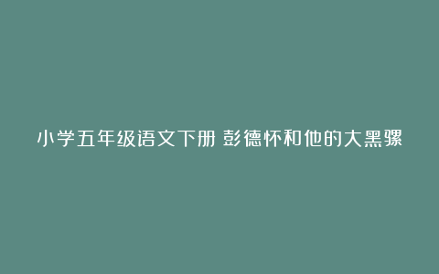 小学五年级语文下册《彭德怀和他的大黑骡子》的教学反思