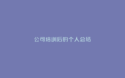 公司培训后的个人总结