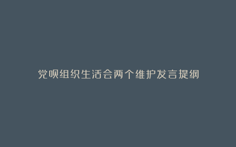 党员组织生活会两个维护发言提纲