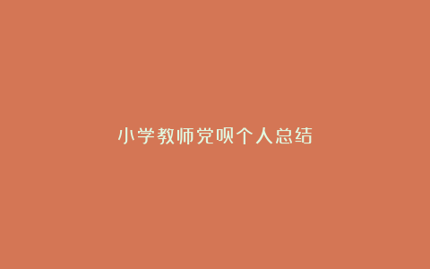 小学教师党员个人总结