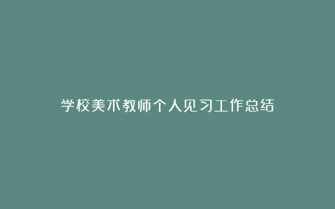 学校美术教师个人见习工作总结