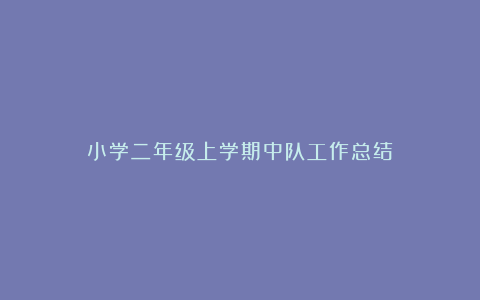 小学二年级上学期中队工作总结