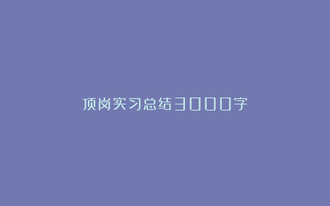 顶岗实习总结3000字