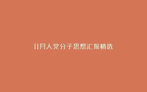 11月入党分子思想汇报精选