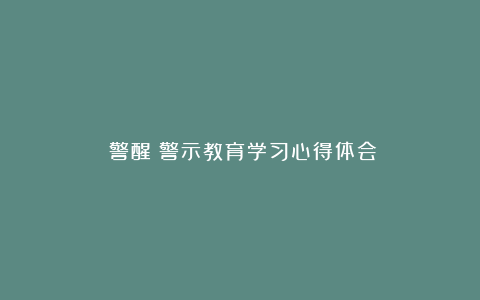 《警醒》警示教育学习心得体会