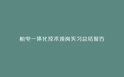 机电一体化技术顶岗实习总结报告