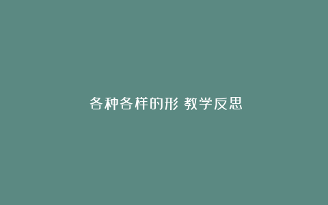 《各种各样的形》教学反思