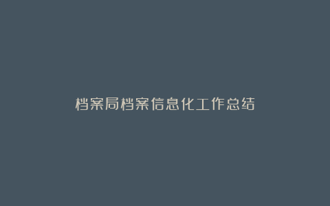 档案局档案信息化工作总结