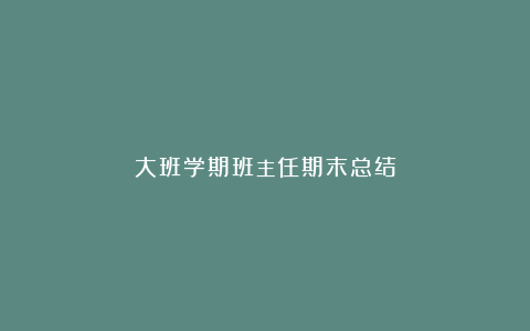 大班学期班主任期末总结