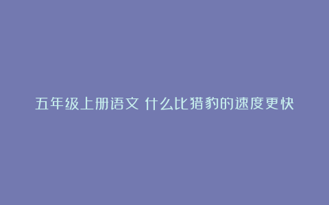 五年级上册语文《什么比猎豹的速度更快》教案优质