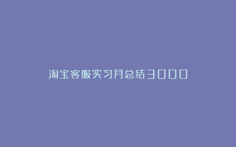 淘宝客服实习月总结3000