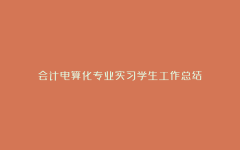 会计电算化专业实习学生工作总结