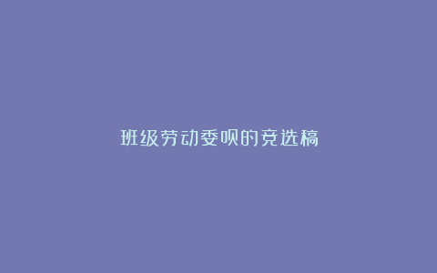 班级劳动委员的竞选稿