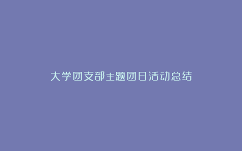 大学团支部主题团日活动总结