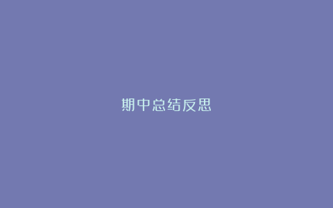 期中总结反思