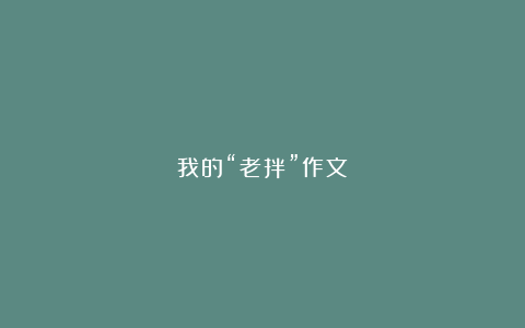 我的“老拌”作文