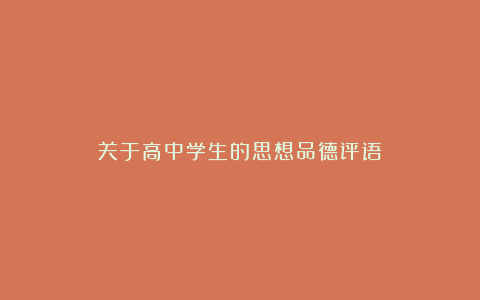 关于高中学生的思想品德评语